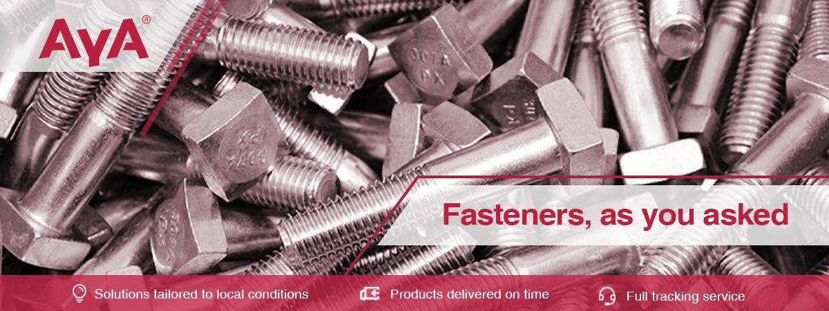 Galvanized Square Bolts aya
