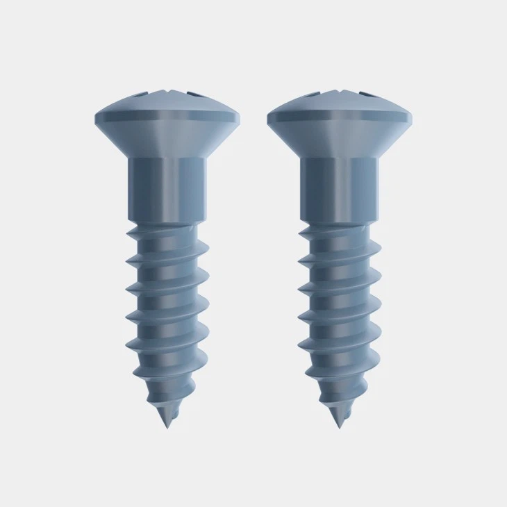 Raised Countersunk Wood Screws