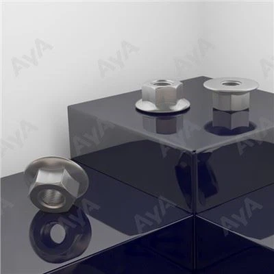 Stainless Steel Flange Nut