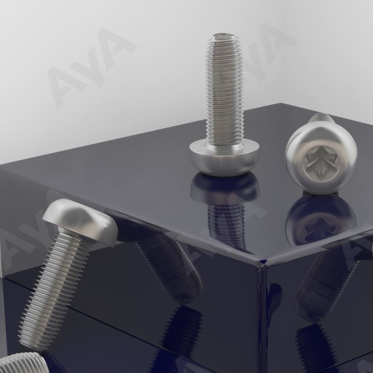 Stainless steel thread siam dan tur screw a ni.
