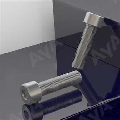 Stainless steel socket lu khuhna screw te a awm bawk.