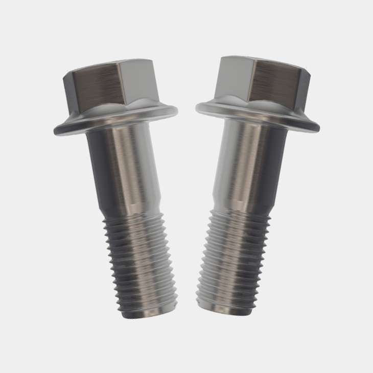 Stainless Steel Flanged Hex Bolts-AYA FASTENERS